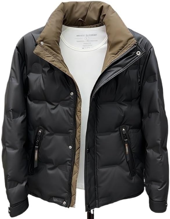 Down Jacket Men's Trendy Workwear Stand Collar Casual Thick Cold Resistant Winter Coat