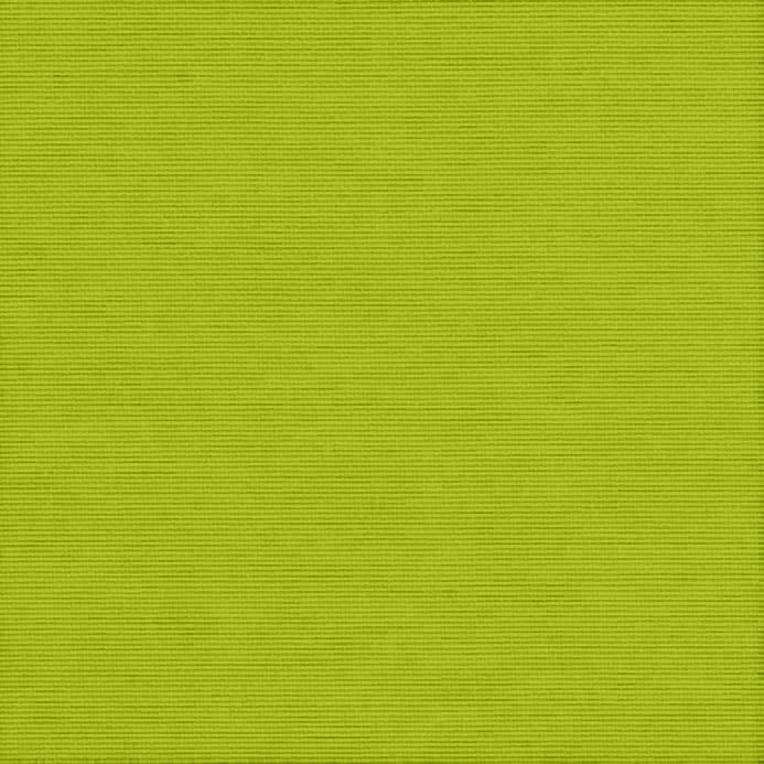 RSH DECOR: Foam Adirondack/Rocking Chair Cushion | 48” x 20” x 2” | Sunbrella Performance Fabric | Water and Fade-Resistant | Outdoor Cushion for Patio Furniture | Canvas Macaw