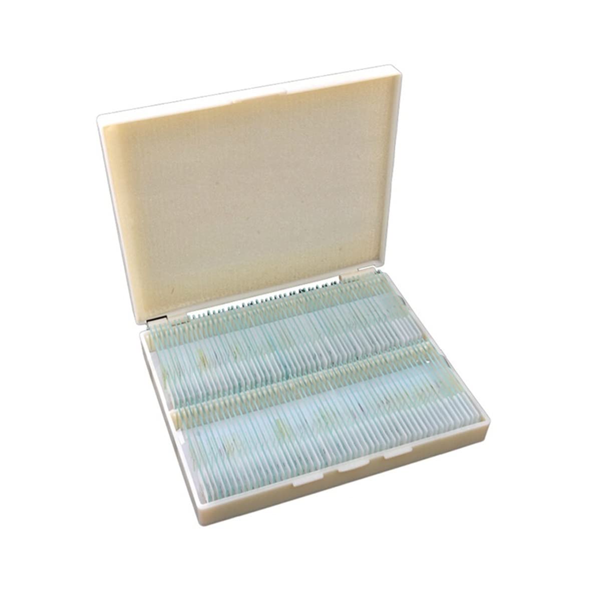 Kit accessori per microscopio Vetrini for microscopio in vetro preparati da 100 pezzi in scatola di plastica for studenti e laboratori Vetrini per microscopio