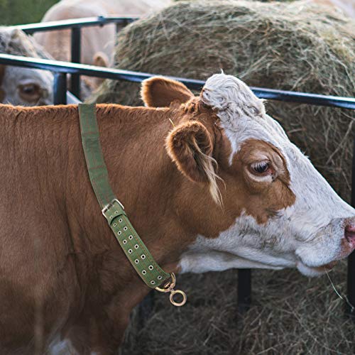 Angoily Colarinho Vaca Bezerro Ovelhas para O Pescoço Do Cavalo Gado Pecuária Alimentação (Verde)