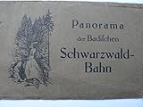  Panorama der Badischen Schwarzwald-Bahn
