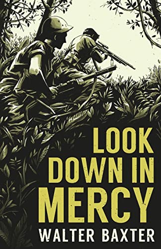 Look Down in Mercy view 2