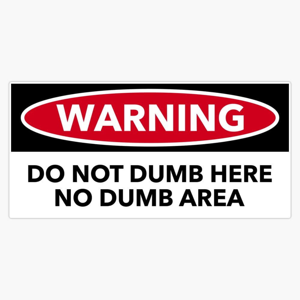 Amazon.com - do not Dumb here Bumper Sticker Vinyl Bumper Sticker