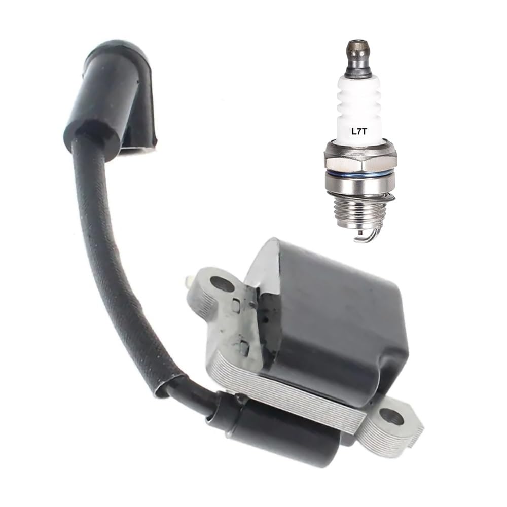 Bobine d'allumage 530030005 haute performance pour modèle de moteur 358352660