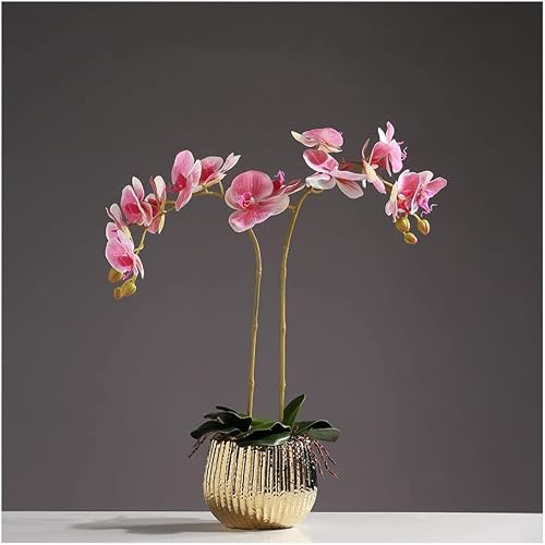 XDLEDMKIZ Orchid Artificial Flowers Elegant Artificial Phalaenopsis Flowers Centerpiece Faux Orchids Touch Realistic Artificial Orchid Faux Ornament natural look