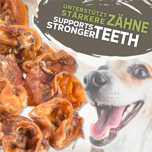Schweineohren-Mitte Kausnacks für Hunde 1kg (ca. 26-30 Stück) | Natürlich & luftgetrocknet | Getreidefrei | Langanhaltender Kauspaß | Monoprotein Snack