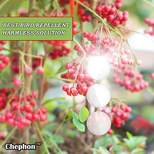 Chephon Upgraded Bird Scare Discs Set - Large 24 Discs- Highly Reflective Double-Sided Bird Reflectors, Better Scare Devices To Keep All Birds Away Like Woodpecker And Pigeon #TOP1
