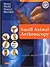Small Animal Arthroscopy