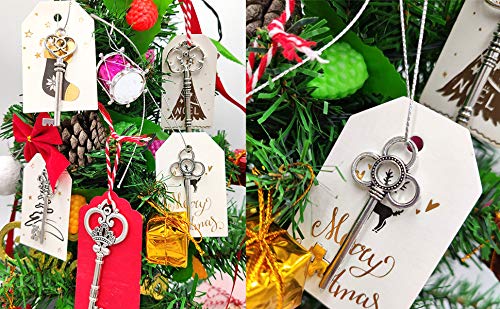 Makhry Confezione Mista di 30 Chiavi Vintage