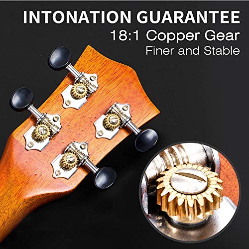 Kit de démarrage pour ukulélé ténor en acajou massif – Ukulélé de concert soprano – Guitare hawaïenne – 23 pouces – 12… - Les Beatles, Paul McCartney, John Lennon, RIngo Starr, George Harrison Kit de démarrage pour ukulélé ténor en acajou massif - Ukulélé de concert soprano - Guitare hawaïenne - 23 pouces - 12… – Image 5