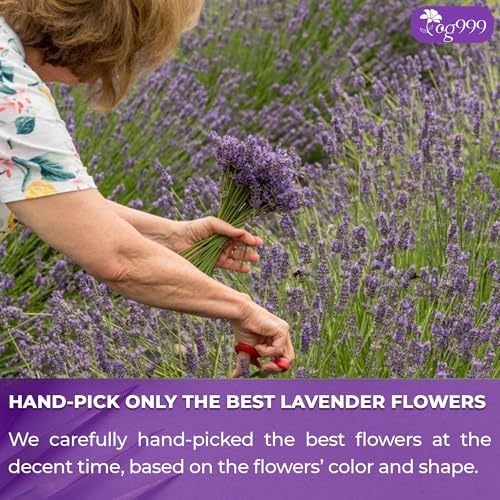 Image of TOG999, Premium 60 Lavender Flower Tea Bags, 100% Natural & Pure. Loose Flower Lavender Herbal Tea. No Sugar, No Caffeine, No Gluten, Vegan.