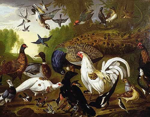 Affiche Toile La baleine boréale Raimundo Petraroja déco murale salon 60x90cm
