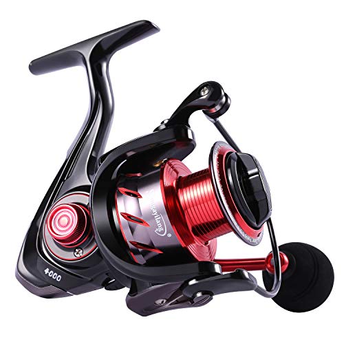 Sougayilang Spinning Reels Fishing Reel with 13 +1 Corrosion Resistant Ball Bearings, Light