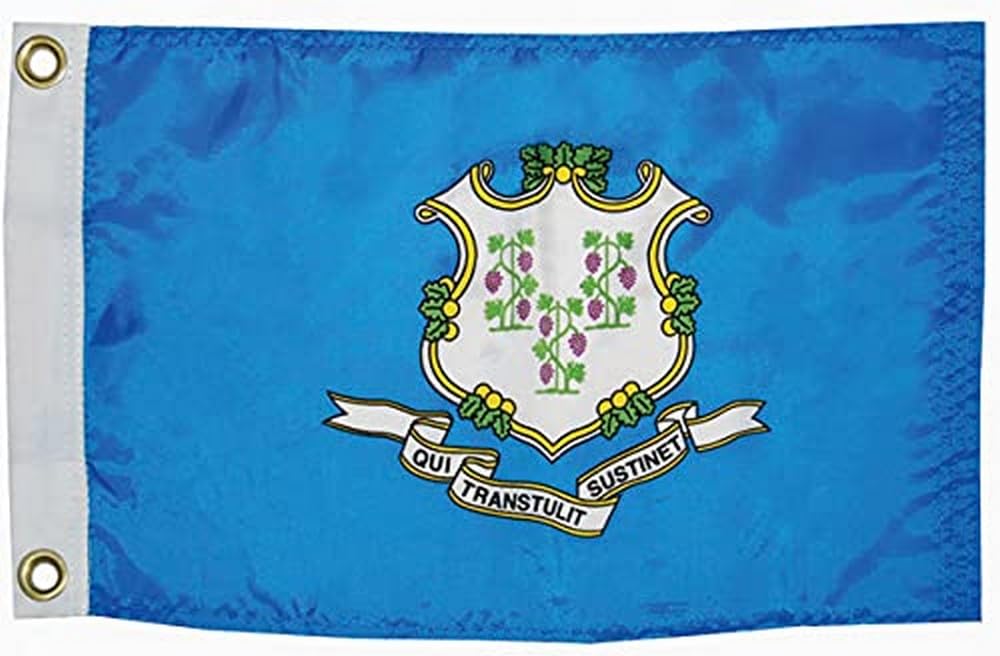 TaylorMade PRODUCTS Flag 93094, Connecticut