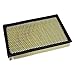 Motorcraft FA1032 Air Filter