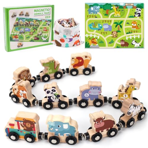 Montessori Spielzeug ab 1 2 3 Jahr: Geschenk Junge Mädchen 2-3-4 Jahre...