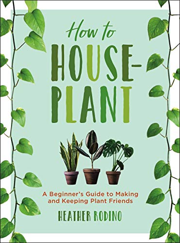 How to Houseplant: A Beginner&rsquo;s Guide to Making and Keeping Plant Friends