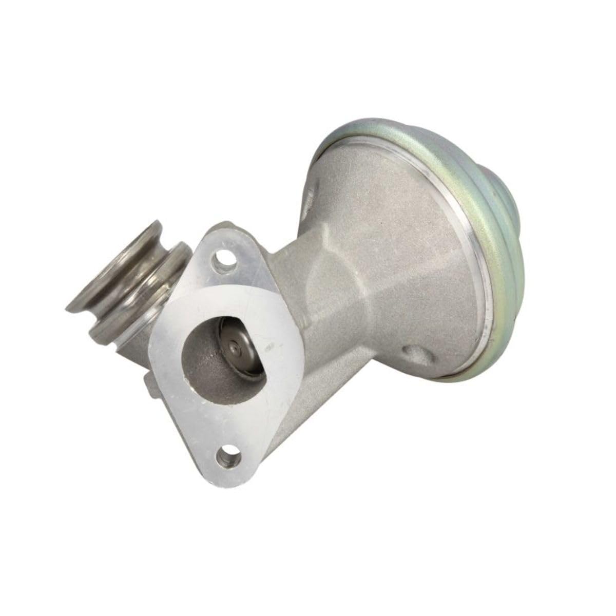 Magneti Marelli 571822112100 Valvola EGR Ford, Peugeot