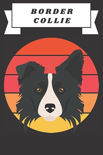 BORDER COLLIE Perfect BORDER COLLIE Notebook - journal for BORDER COLLIE ( 120 Lined page ).This can be used for taking notes, writing, organizing,