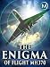 The Enigma of Flight MH370