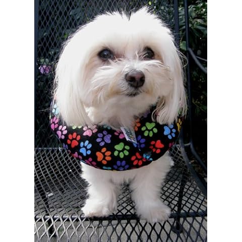 Puppy Bumpers Keep Your Dog on The Safe Side of The Fence - Rainbow Paw (10-13") Cover