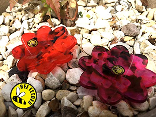 Bee Feeder Shallow Garden Pack of 2