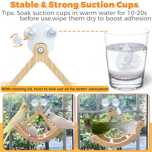 Image of Rocking Bird Toys Perch for Window and Cage, Wooden Bird Perch Puzzle