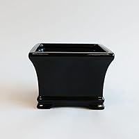 Vista 4 de Athena's Garden Torre viva interior de la planta de bambú de la suerte clásica de tres capas en el envase