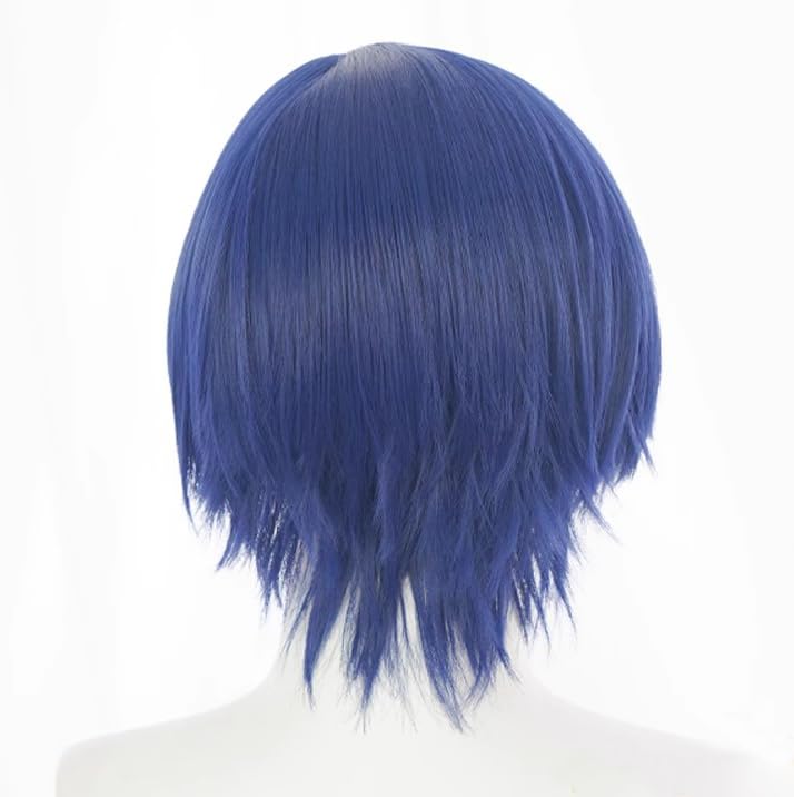 Amazon.co.jp: コスプレウィッグ KAITO カイト ウィッグ 長髪 耐熱 