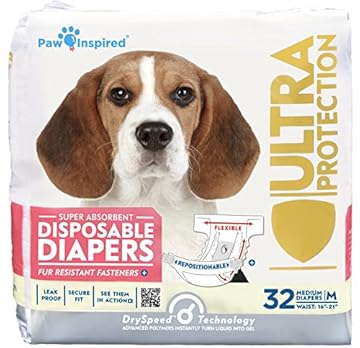 best diaper for female dog in heat