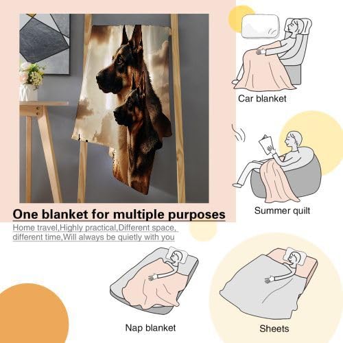 Couverture Polaire 240 x 260 Animal Chien, Couverture Polaire Grande Taille 240x260 cm | Usage Multiple comme Couette d'Appoint, Assure Une Protection Contre Le Froid D339