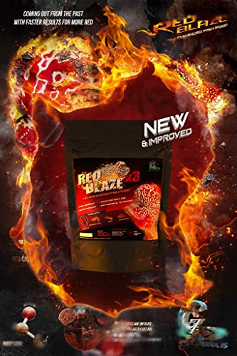 CZ AQUA RED Blaze (Flowerhorn Food)