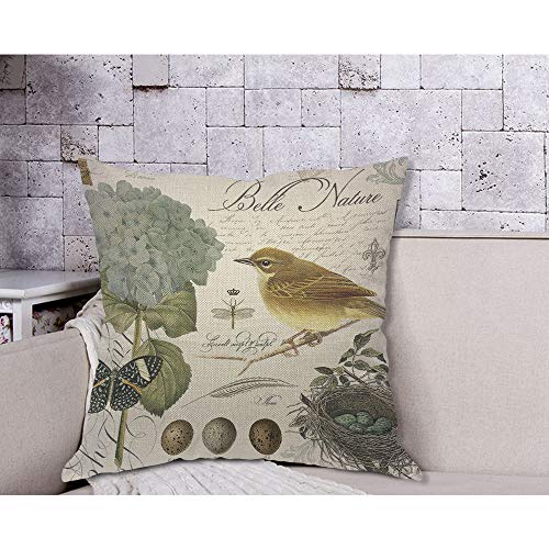 Aoyego Hydrangea And Bird Throw Pillow Cover French Eggs Nature Floral Nest Branch Insect Dragonfly Pillow Case 18X18 Inch Decorative Men Women Boy Girl Room Cushion Cover For Home Couch Bed #TOP3