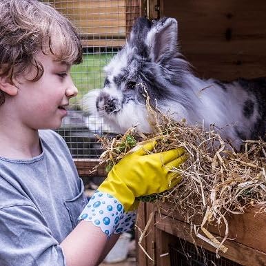 Small Rubber Gloves for Children