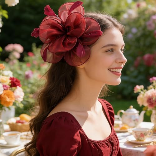 Image of DRESHOW Fascinators Hat Tea Party Headwear Ribbons Feathers on a Headband and a Clip for Women