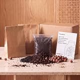 urbanjngl - urbanjngl.com - Flaschengarten Set – Nachfüll- & Starterset – Ohne Moos – Größe S/M - Pflanzen-Terrarium-Paket - Pflanzenterrarium