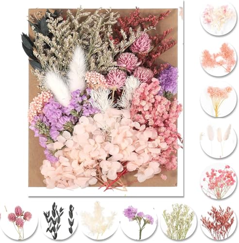 DOMIJOY Trockenblumen Zum Basteln Natürliche Getrocknete Blumen Trockenblumen Klein Set für Kunst DIY Harz Scrapbooking Handwerk Karten Machen