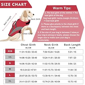 ALAGIRLS-Dog-Life-Jacket-for-Small-Dogs-Reflective-Dog-Swim-Flotation-Life-Vest-Pet-Safety-Jackets-with-High-Buoyancy-for-Small-Medium-Large-Breeds-Dog-Summer-Beach-Accessories-Red-S - Cucciolini Doodles   ALAGIRLS-Dog-Life-Jacket-for-Small-Dogs-Reflective-Dog-Swim-Flotation-Life-Vest-Pet-Safety-Jackets-with-High-Buoyancy-for-Small-Medium-Large-Breeds-Dog-Summer-Beach-Accessories-Red-S