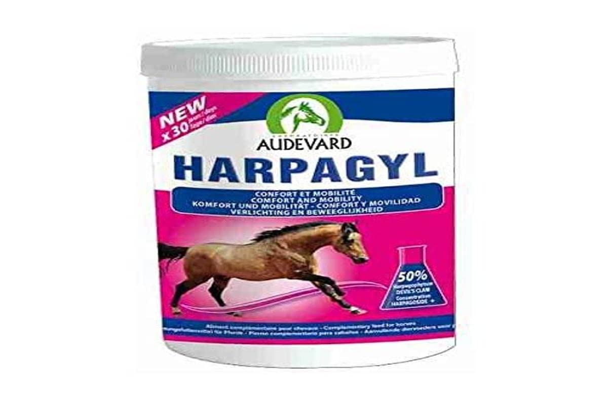 LABORATOIRES AUDEVARD 920-1597 Harpagyl 450G Audevard