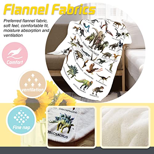 Kids Jurassic World Park Dinosaur Blanket For Boys Girls Room Decor, Cute Cool Dino Toddler Sofa Bed Plush Throw Personalized Blanket, Chiristmas Toys Halloween Birthday Gifts Presents 50X60 Inches #TOP4