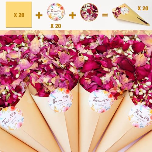 20+ tazas de pétalos reales de rosa para boda miniatura 4