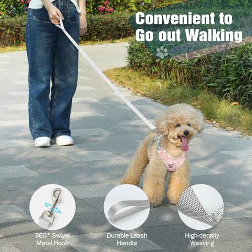 Pawaboo Hundegeschirr mit Hundeleine Set, X-Rahmen Verstellbares Anti Zug Anti-Erstickung Hund Brustgeschirr für Kleine, Mittelgroße Hunde & Welpen, Hundeweste mit Leine, S, Rosa Gänseblume