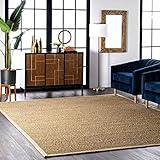 nuLOOM Elijah Seagrass Natural Area Rug, 5' x 8', Beige