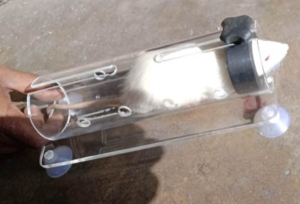 Rat Restrainer Acrylic Transparent Size 8 inch in lengthx2.25 inch