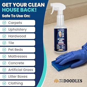 We Love Doodles Pet Stain & Odor Remover, Dog Urine Enzyme Cleaner, Organic Enzymatic Ingredients, Pee Spray Eliminator For Carpet, Made in USA, Professional-Grade Kid & Pet-Friendly, 32 oz