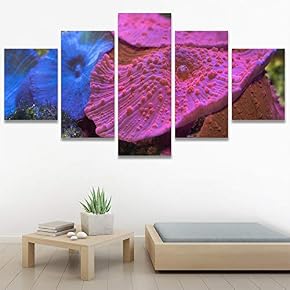 SIGNWIN 5 Panel Canvas Wall Art Colorful Coral...