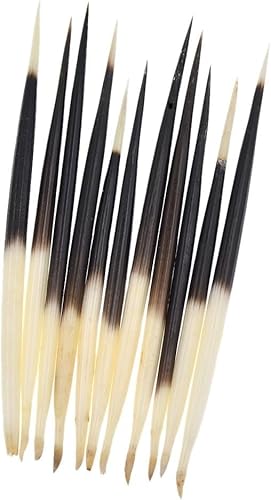 10Pcs Porcupine Quills Hair Stick Indian Crafts Accessories Fishing Buoy