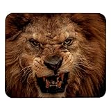 Designs personnalisables : ajoutez une touche personnelle à votre espace de travail avec des impressions haute définition personnalisables. Faites de votre tapis de souris le vôtre