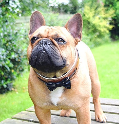 Bestia Bowtie'' Hundehalsband mit Lederfliege.Handgemacht. 100% Leder.