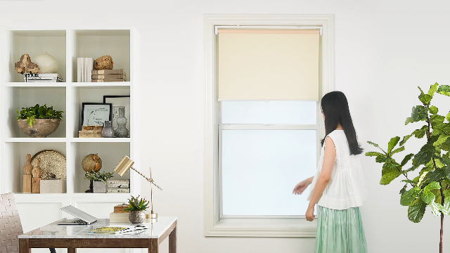 Amazon.com: LazBlinds No Drill Cordless Roller Shades, Light